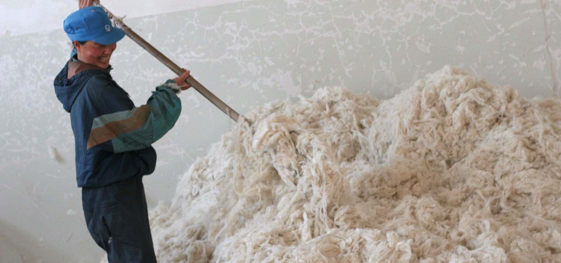 What is Cashmere PureCollection